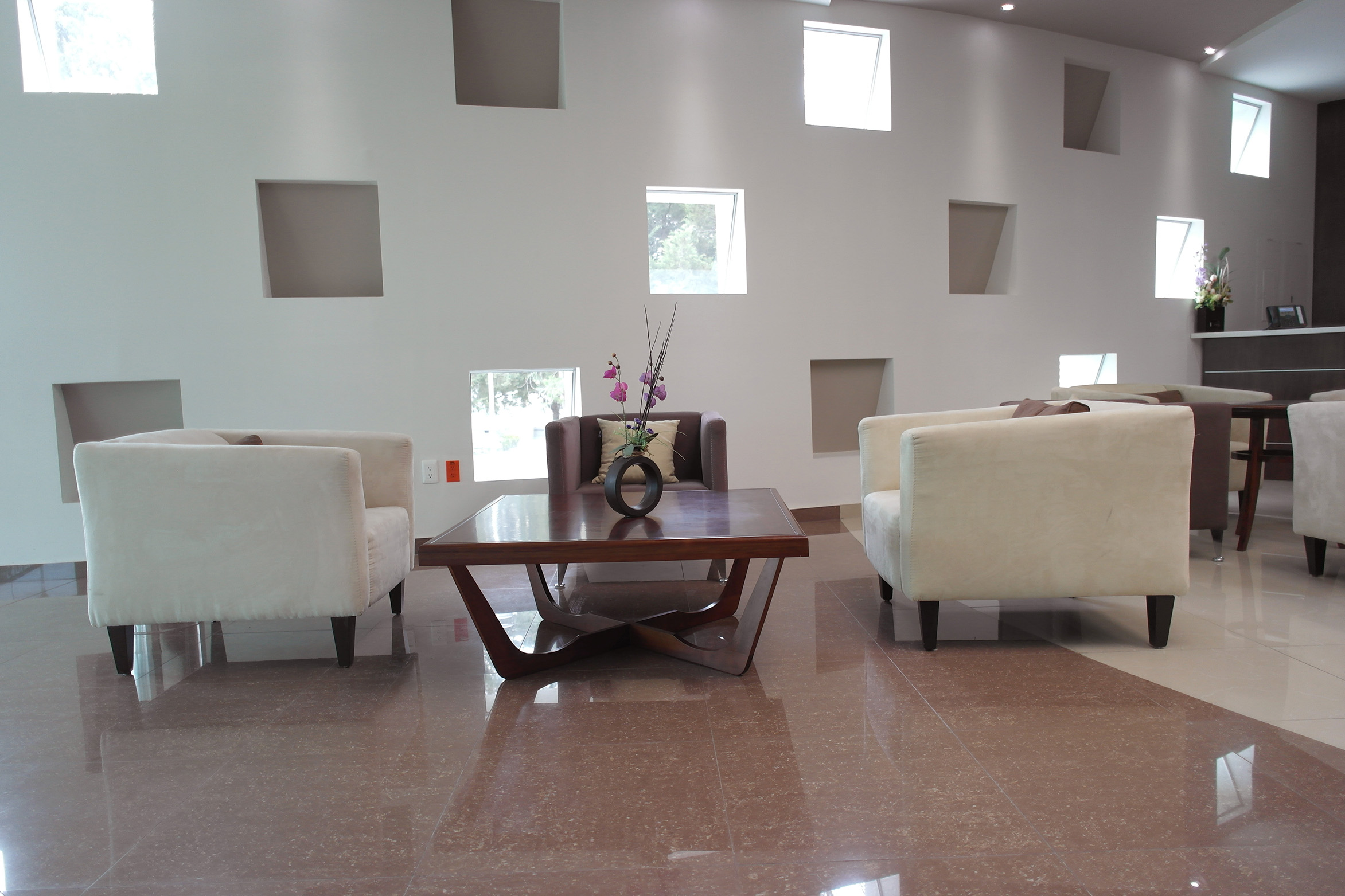 DFN-la-casa-dei-limoni-BRUNELLESCHI-ESSENTIAL-PREVIEW